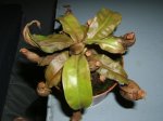 fotos 002.jpg