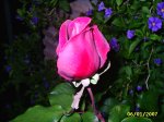 PIC_0077.JPG