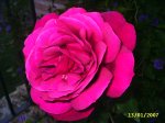 PIC_0012.JPG
