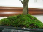 IMG_0413.JPG