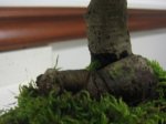 IMG_0412.JPG