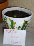 mis plantas.jpg