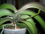 DSCN0810.JPG