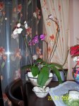 100_2139.jpg
