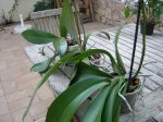 DSCN0805.JPG