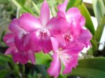 DSC00690.JPG