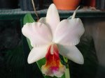 DSC00696.JPG