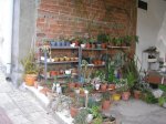 guancasi jardin 043.jpg