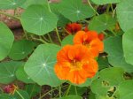 IMG_3408 copia.jpg
