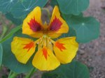 IMG_3592 copia.jpg