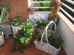 guancasi jardin 016.jpg