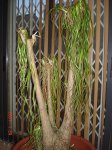 DSC034291.JPG