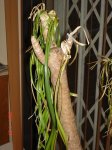 DSC034311.JPG