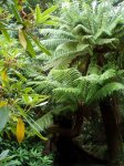 Album plantas (12) re.jpg