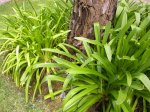 DSCN4595.JPG