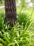 DSCN4596.JPG