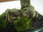 IMG_0422.JPG