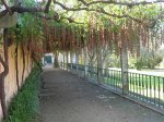 pergola1.jpg