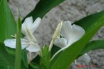 DSC01328.jpg