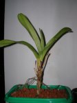 DSCN2600.JPG