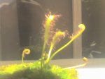 23-01-07_1050.jpg