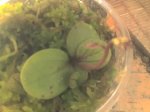 23-01-07_1054.jpg