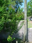 DSC03731.jpg