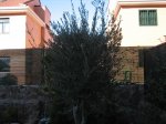 IMG_1440.jpg
