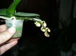 DSCN0816.JPG