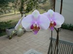 DSCN0817.JPG