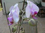 DSCN0819.JPG