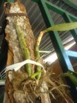 DSC00179.JPG