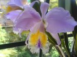 DSC00156.JPG