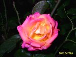 PIC_0013.JPG