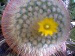 Imagen018.jpg