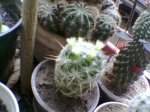 Imagen010.jpg