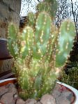 IMAG0417.JPG