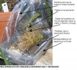 terapia bolsa 2.jpg