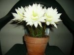 PICT0566.jpg