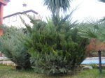 Copia de P2010094.JPG