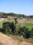 masia 011.jpg