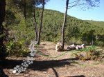 CAMINO CON PIEDRAS 1058.jpg