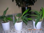 DSCN2686.JPG