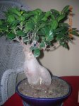 DSCN2674.JPG