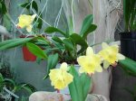 DSC00706.JPG