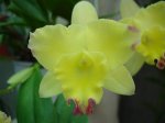 DSC00707.JPG