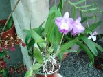 DSC00714.JPG