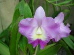 DSC00715.JPG