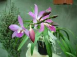 DSC00708.JPG