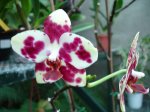 DSC00719.JPG